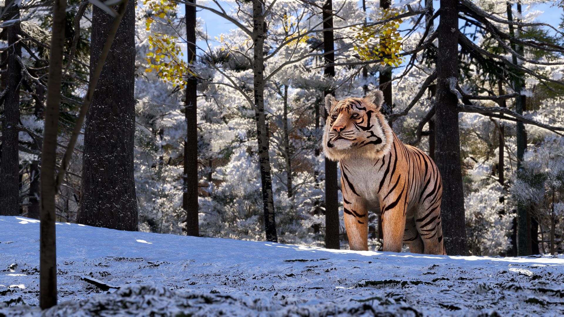 Microsoft Flight Simulator Siberian Tiger