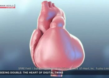 Heart Digital Twin