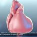 Heart Digital Twin
