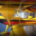 Paul Bennet's Wolf Pitts Pro for Microsoft Flight Simulator