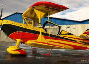 Microsoft Flight Simulator Wolf Pitts