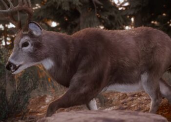 buck in Hunting Simulator 3