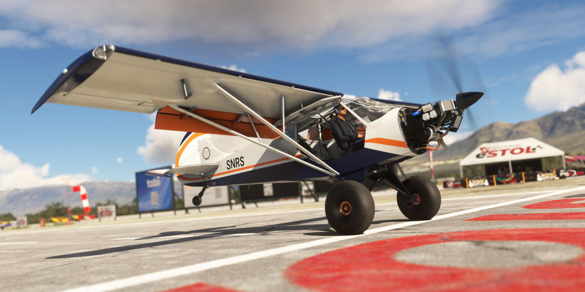 Microsofty Flight Simulator 2024 Got Friends (6)