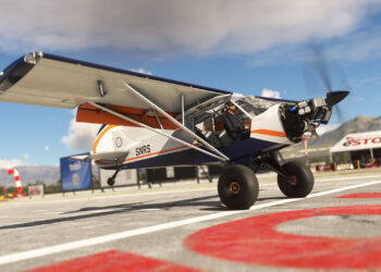 Microsofty Flight Simulator 2024 Got Friends (6)