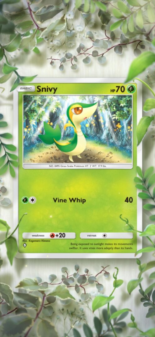 Vine display board Pokemon TCG Pocket