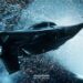 Star Citizen Jump