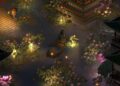 lotus flowers in The Bustling World