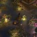lotus flowers in The Bustling World