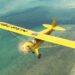 Microsoft Flight Simulator 2024 Cub