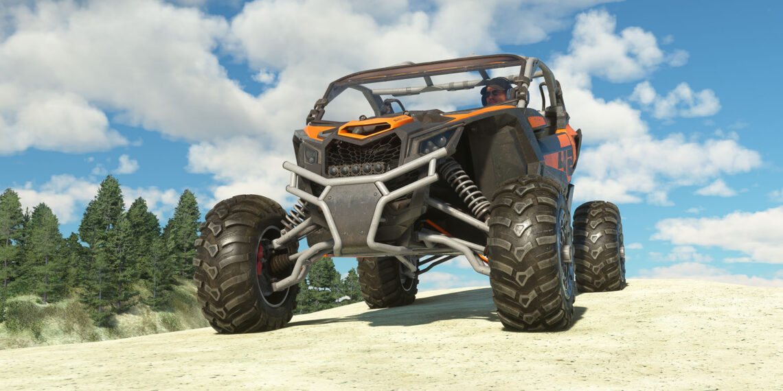 Microsoft Flight Simulator 2024 Juice Goose