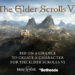 The Elder Scrolls 6 Make a Wish Auction Ad