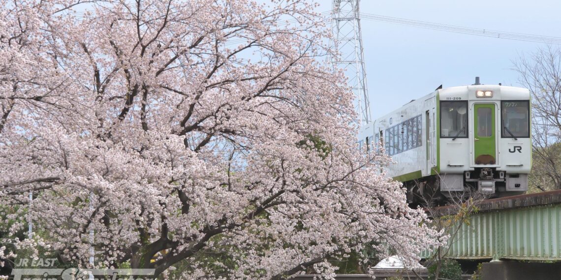 JR East Train Simulator hachiko Line