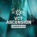 key art for VCT Ascension Americas 2025