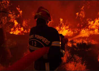 fighting fires in Rescue Ops Wildfire