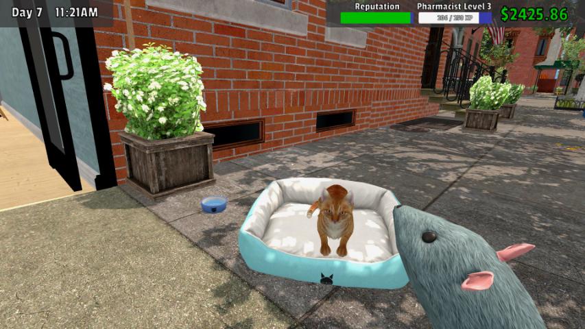 Screenshot_Cat_And_Toy