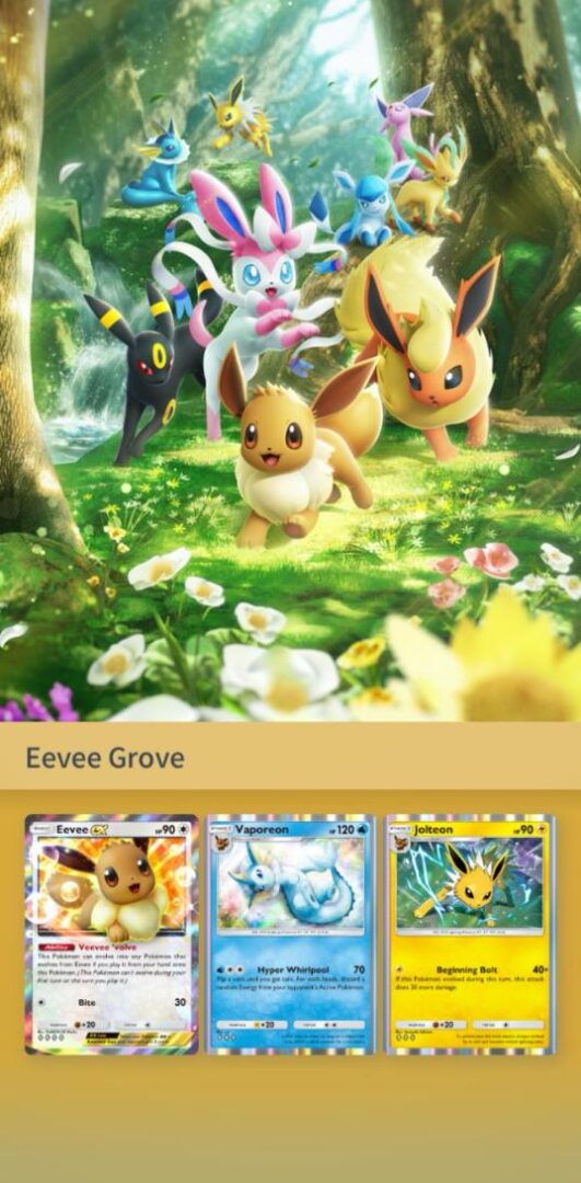 Pokemon_TCG_Pocket_Eevee_Grove_Binder