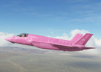 Microsoft Flight Simulator f-35b pink menace
