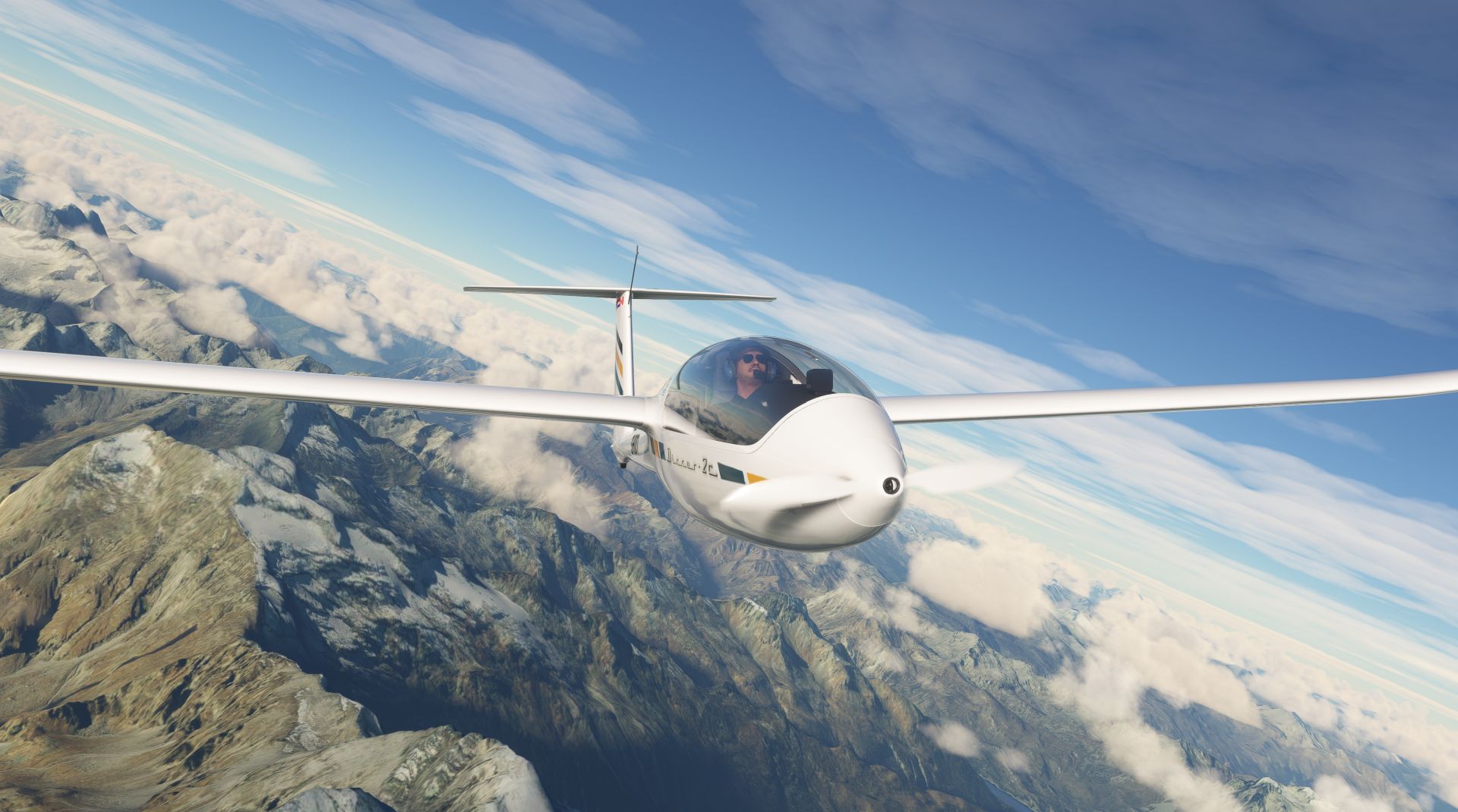 Microsoft Flight Simulator Discus 2C