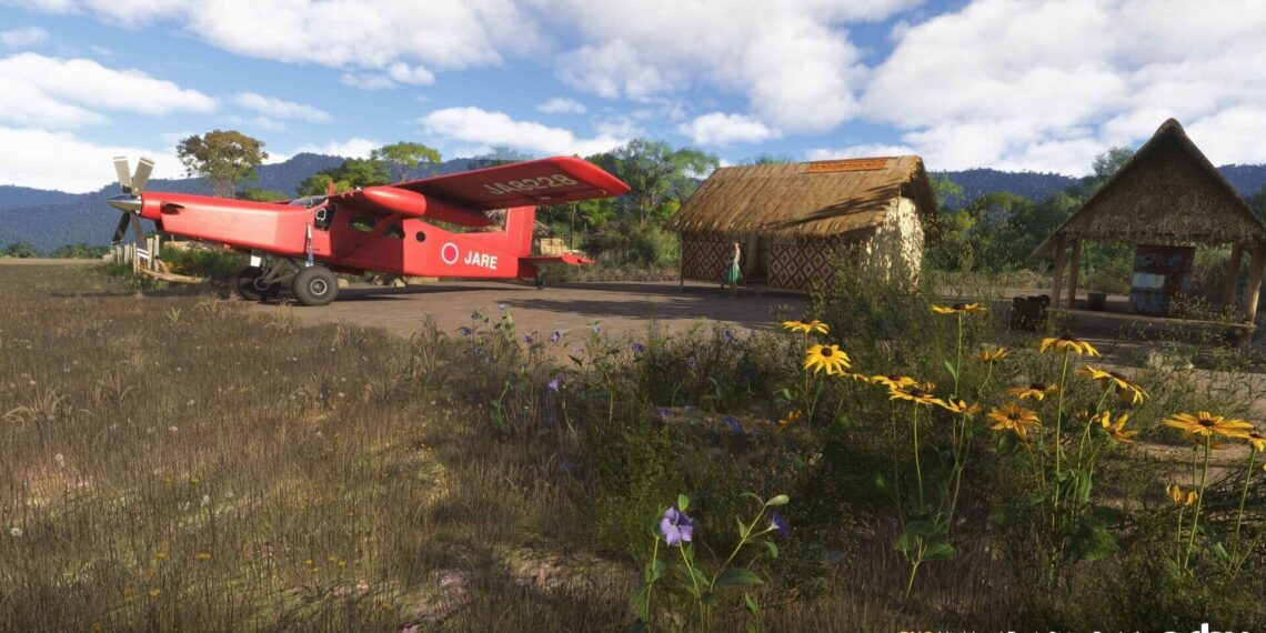 Microsoft Flight Simulator 2024 Highland Bush Strips Pack 4