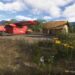 Microsoft Flight Simulator 2024 Highland Bush Strips Pack 4