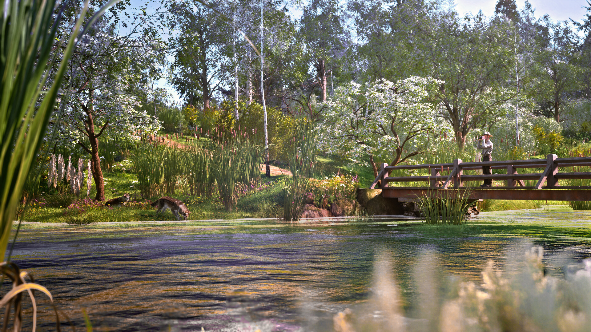 Ranger’s Path: National Park Simulator