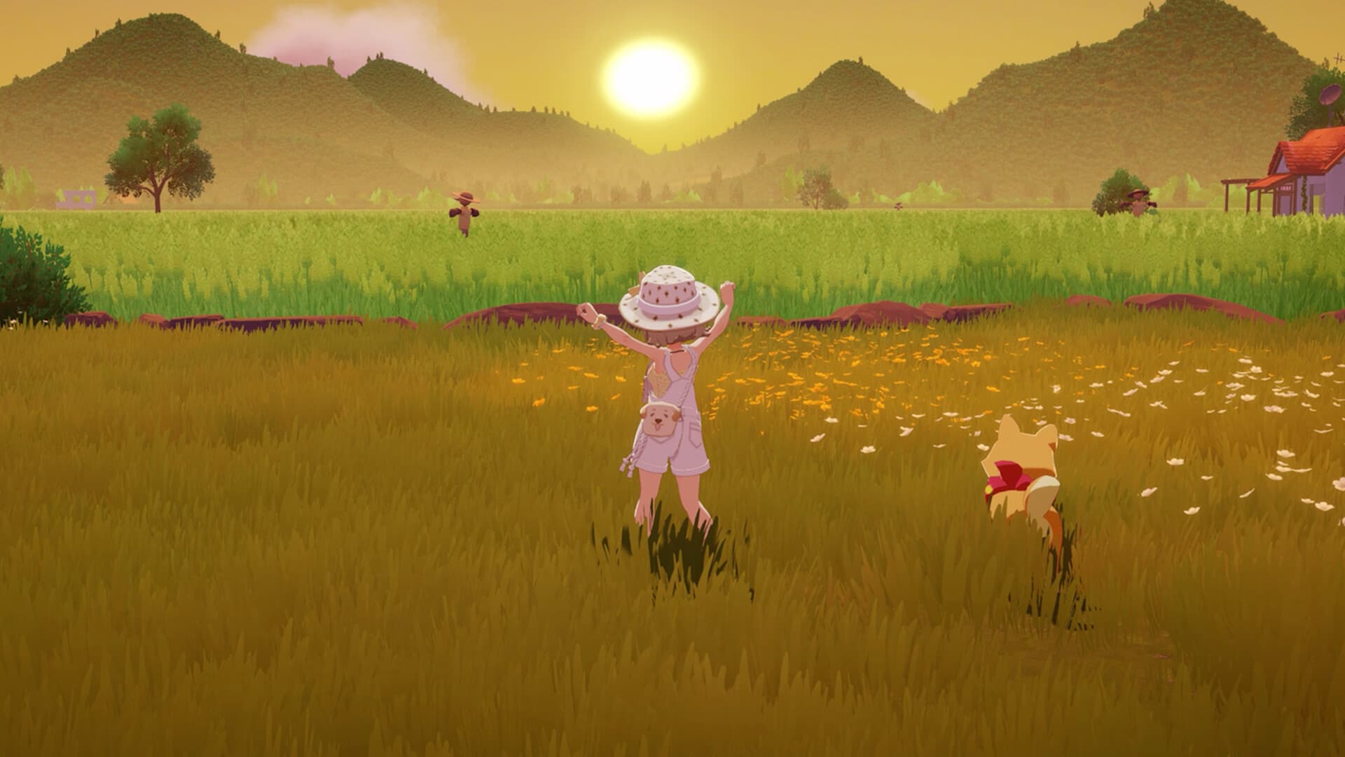 Starsand Island fields