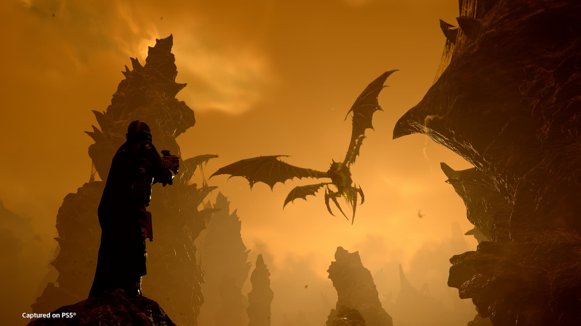 Helldivers 2 new Dragonroach