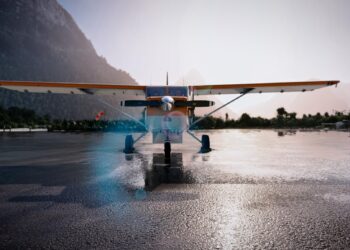 Microsoft Flight Simulator Airvan