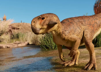 Jurassic World Evolution 3 Psittacosaurus