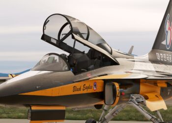 Microsoft Flight Simulator Kai