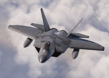 Microsoft Flight Simulator Raptor (2)