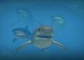 Jurassic World Evolution 3 Officially Reveals the Megalodon
