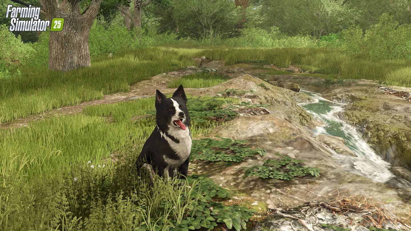 Farming Simulator 25 Patch 1.14 border collie 6
