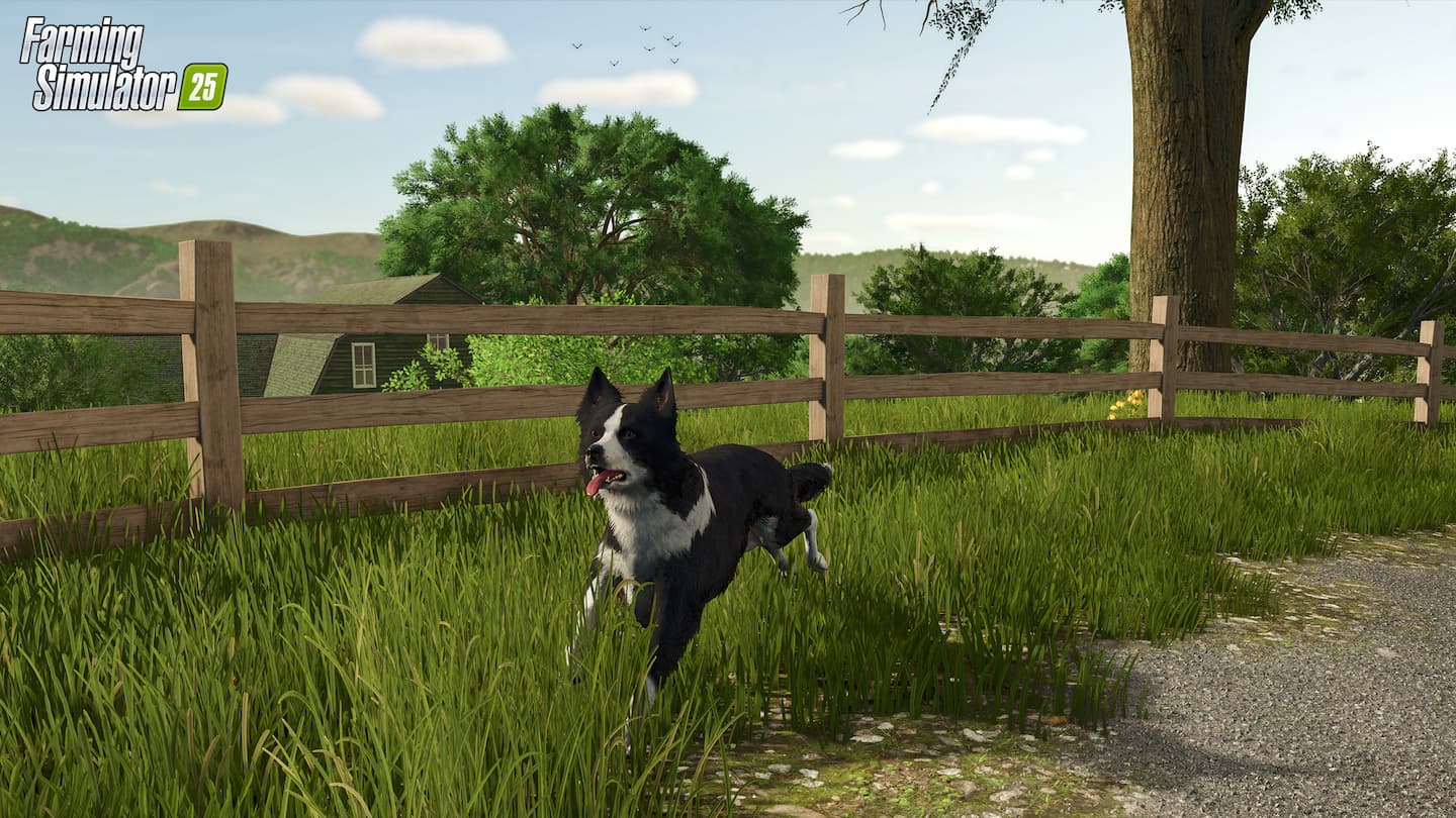 Farming Simulator 25 Patch 1.14 border collie 3