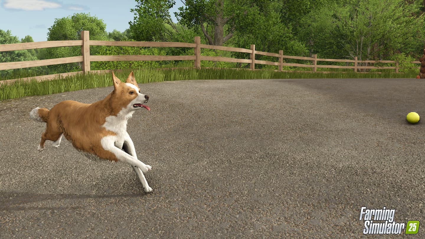 Farming Simulator 25 Patch 1.14 border collie 4