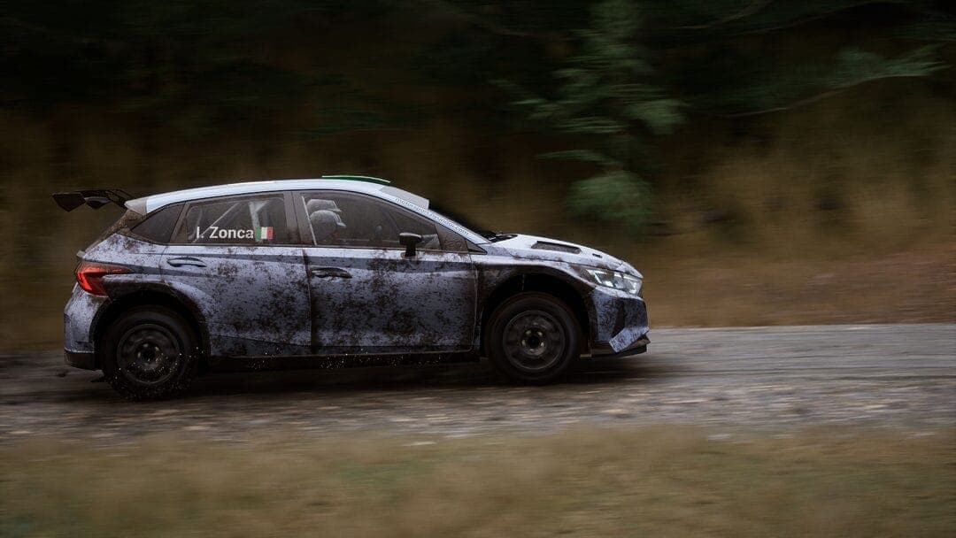Assetto Corsa Rally side view