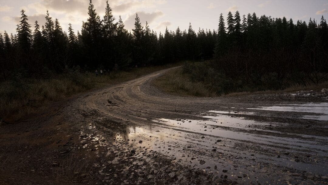 Assetto Corsa Rally roadway
