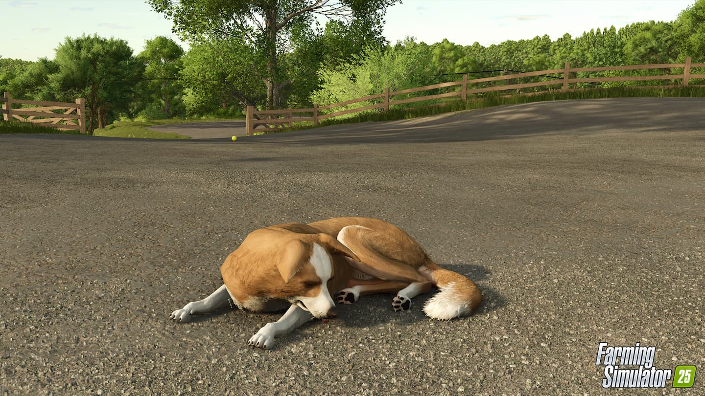 Farming Simulator 25 Patch 1.14 border collie 5