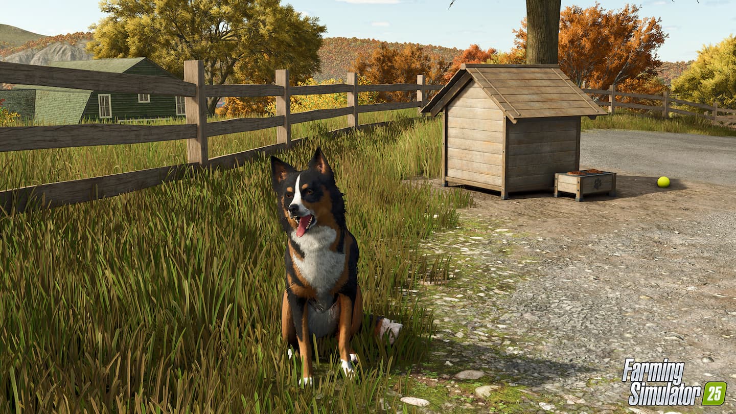 Farming Simulator 25 Patch 1.14 border collie 1