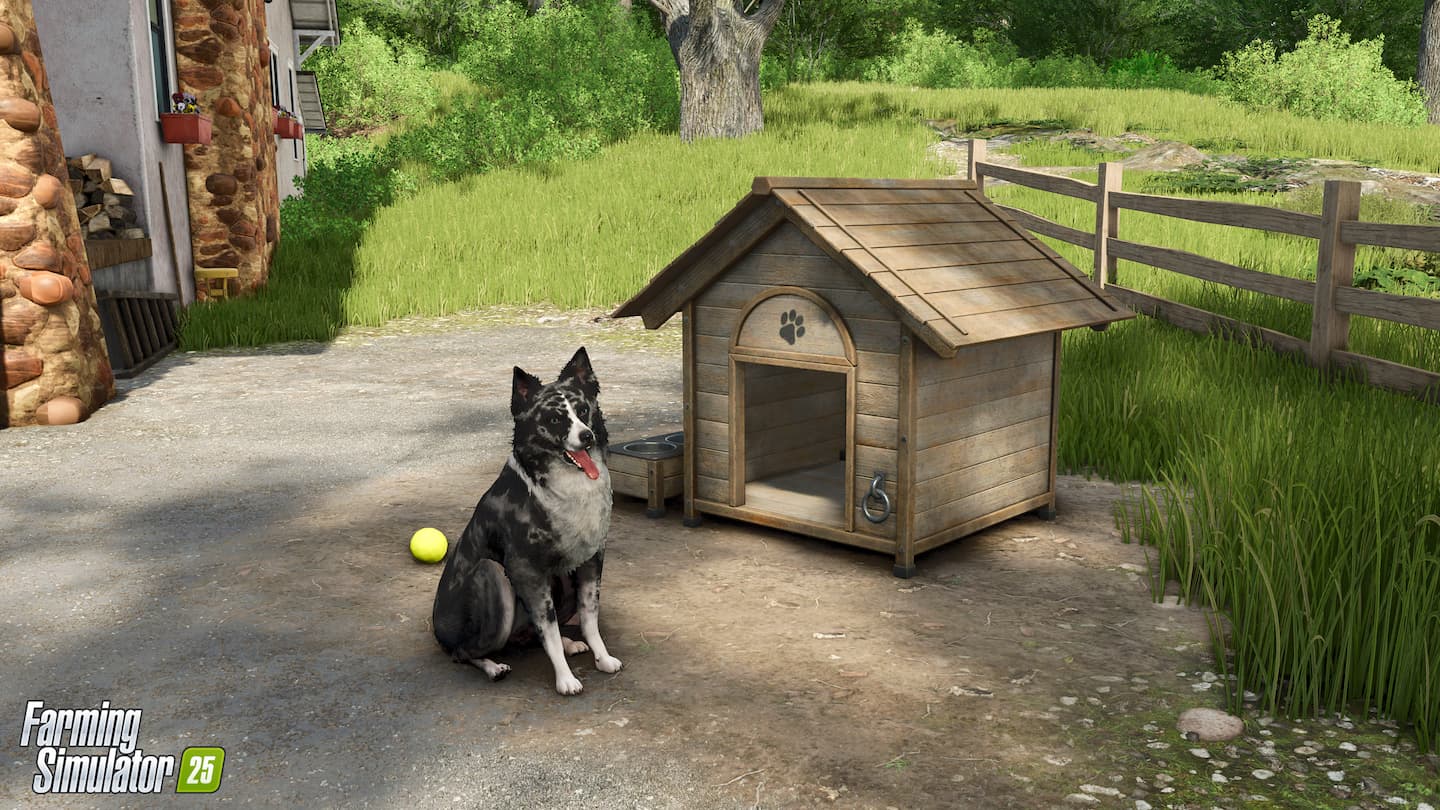 Farming Simulator 25 Patch 1.14 border collie 2
