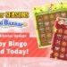 Story of Seasons Grand Bazaar Happy Bingo promo