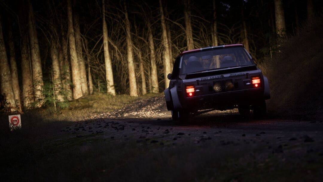 Assetto Corsa Rally back view