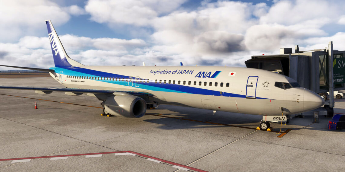 Microsoft Flight Simulator 2024 737