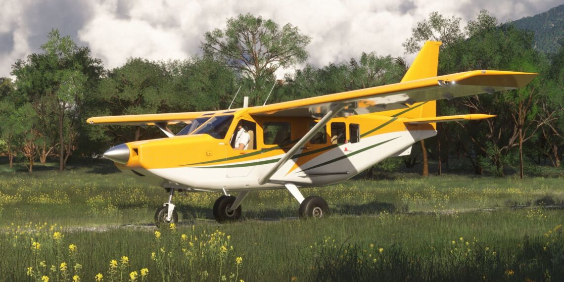 Microsoft Flight Simulator 2024 Gippsaero Airvan