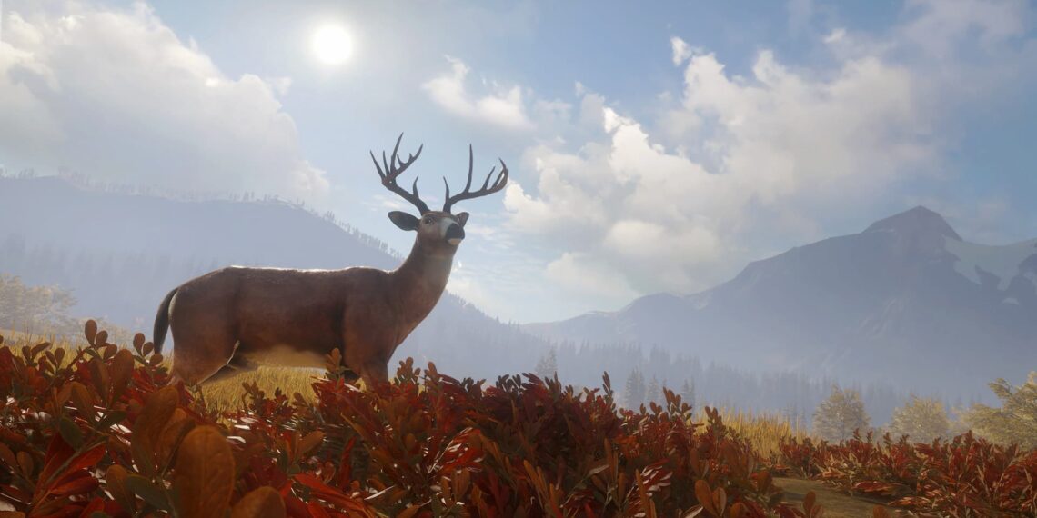 theHunter Call of the wIld deer