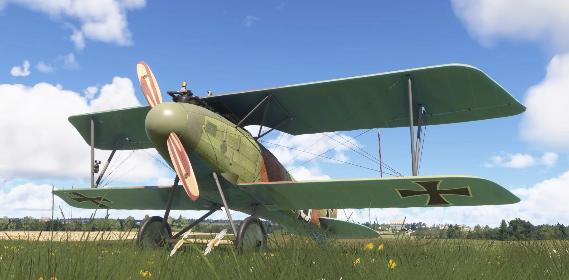 Microsoft Flight Simulartor Albatross D3