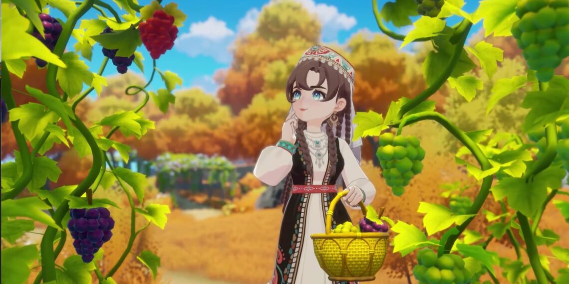 Starsand Island vineyard