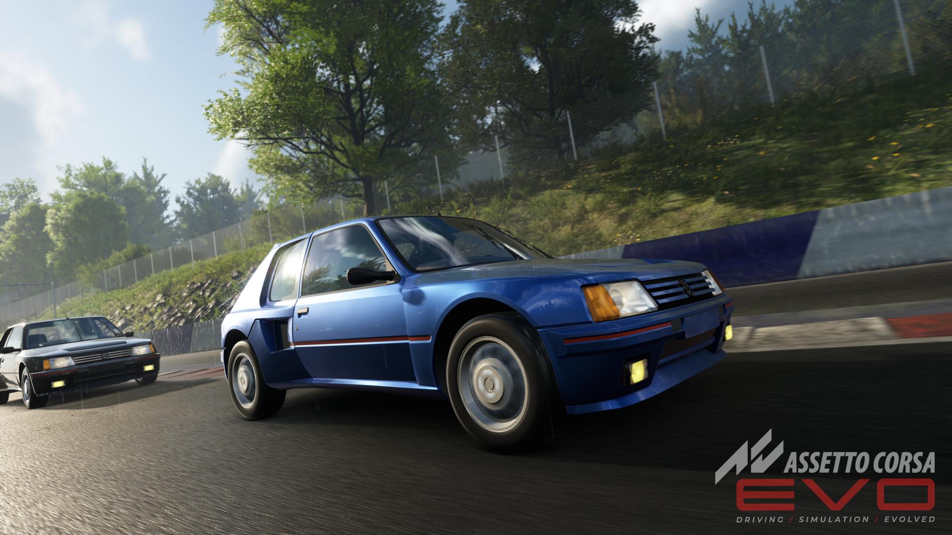 Peugeot 205 T16 Assetto Corsa EVO