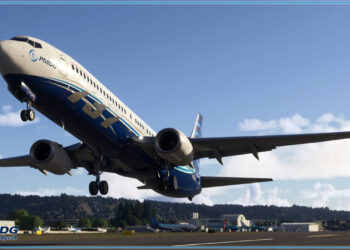 A flight Simulation scene: Microsoft Flight Simulator PMDG 737 900